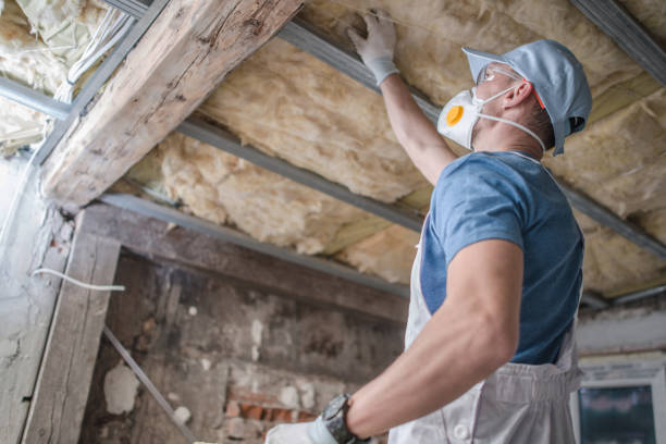 Best Home Insulation Services  in Cody, WY