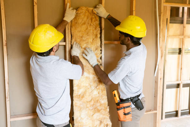 Best Insulation Removal Services  in Cody, WY