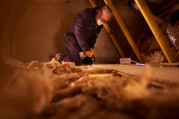 Best Wall Insulation Contractor  in Cody, WY
